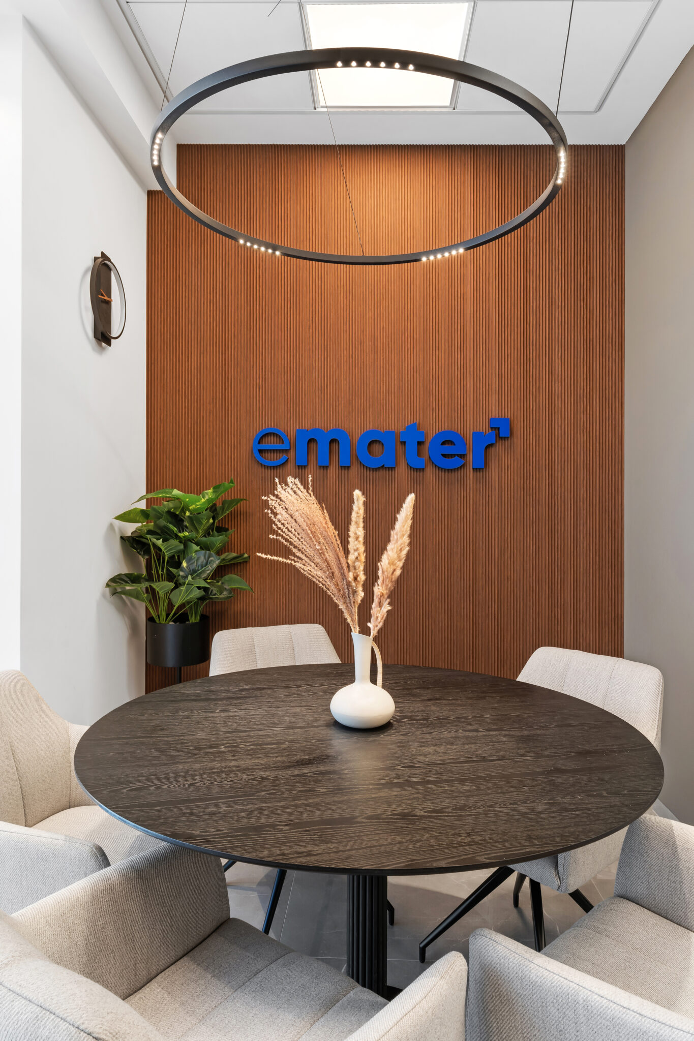 EMATER • Executive Workplace - Ness Ziona